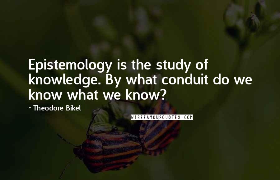 Theodore Bikel Quotes: Epistemology is the study of knowledge. By what conduit do we know what we know?