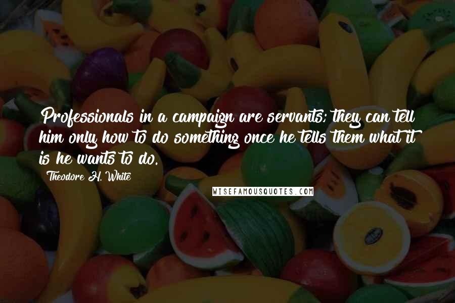 Theodore H. White Quotes: Professionals in a campaign are servants; they can tell him only how to do something once he tells them what it is he wants to do.