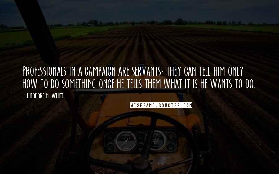 Theodore H. White Quotes: Professionals in a campaign are servants; they can tell him only how to do something once he tells them what it is he wants to do.