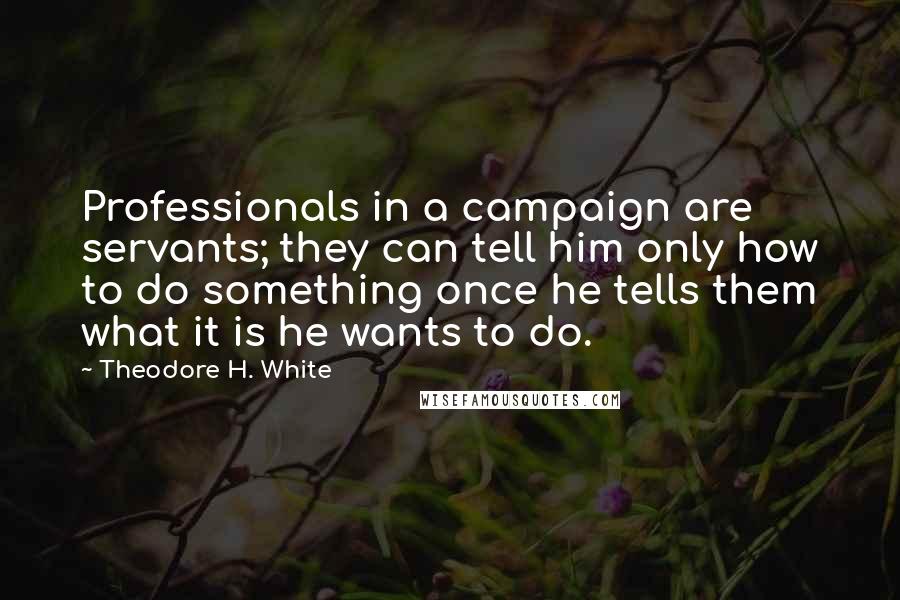 Theodore H. White Quotes: Professionals in a campaign are servants; they can tell him only how to do something once he tells them what it is he wants to do.