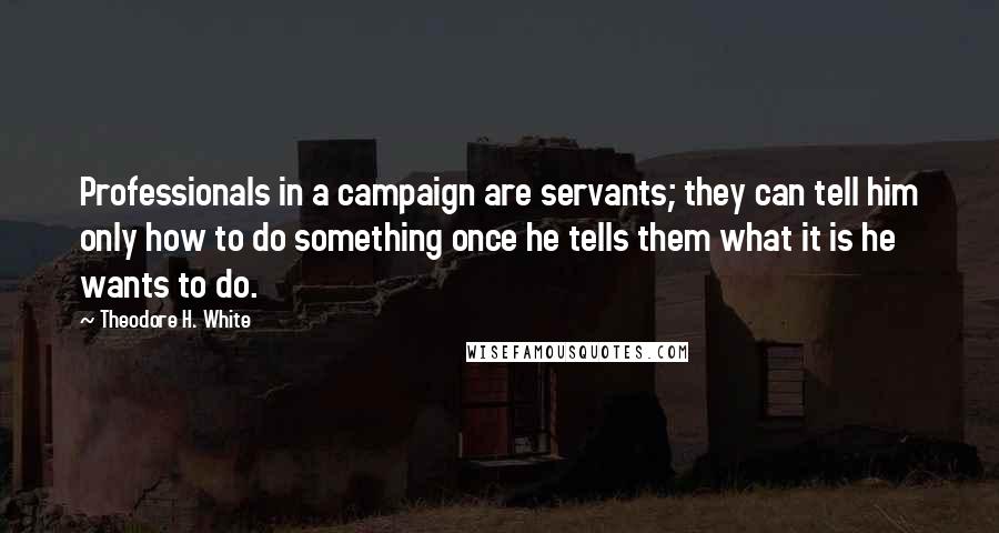 Theodore H. White Quotes: Professionals in a campaign are servants; they can tell him only how to do something once he tells them what it is he wants to do.
