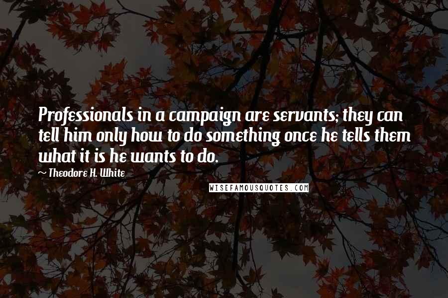 Theodore H. White Quotes: Professionals in a campaign are servants; they can tell him only how to do something once he tells them what it is he wants to do.