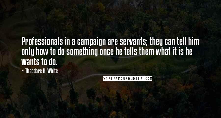 Theodore H. White Quotes: Professionals in a campaign are servants; they can tell him only how to do something once he tells them what it is he wants to do.