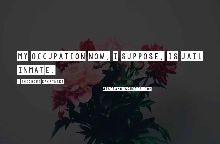 Theodore Kaczynski Quotes: My occupation now, I suppose, is jail inmate.