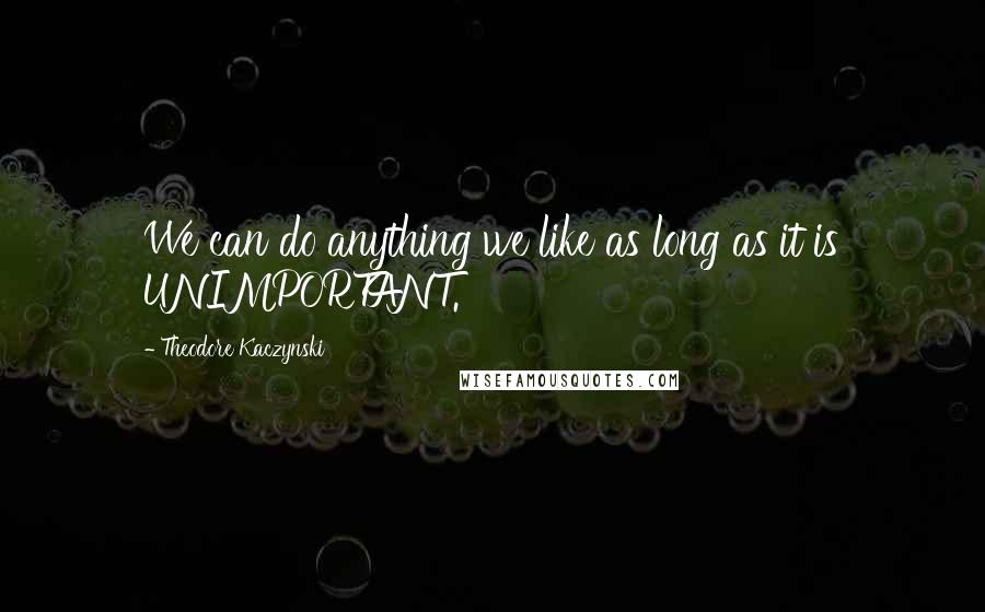 Theodore Kaczynski Quotes: We can do anything we like as long as it is UNIMPORTANT.