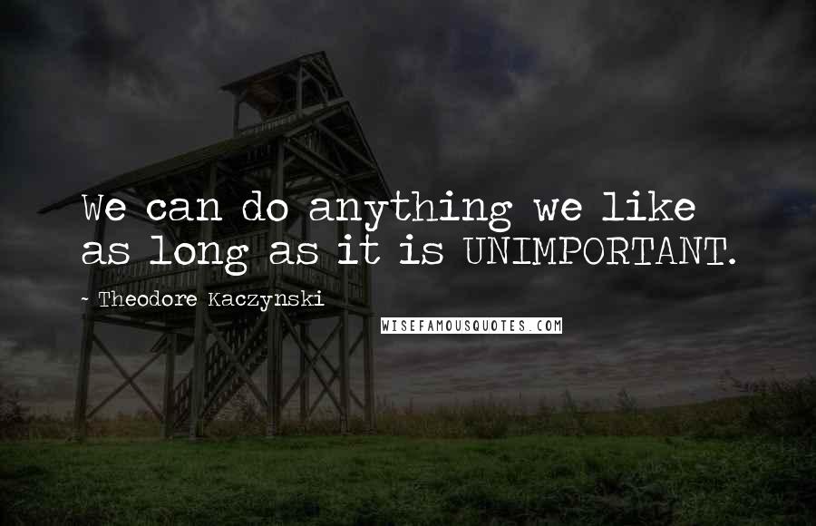 Theodore Kaczynski Quotes: We can do anything we like as long as it is UNIMPORTANT.