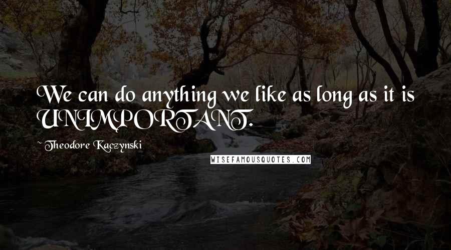 Theodore Kaczynski Quotes: We can do anything we like as long as it is UNIMPORTANT.