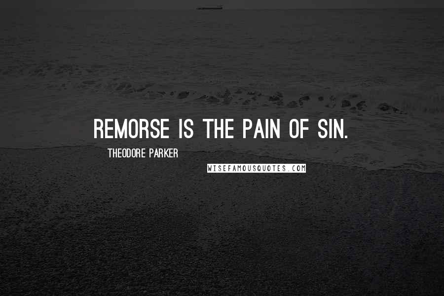 Theodore Parker Quotes: Remorse is the pain of sin.
