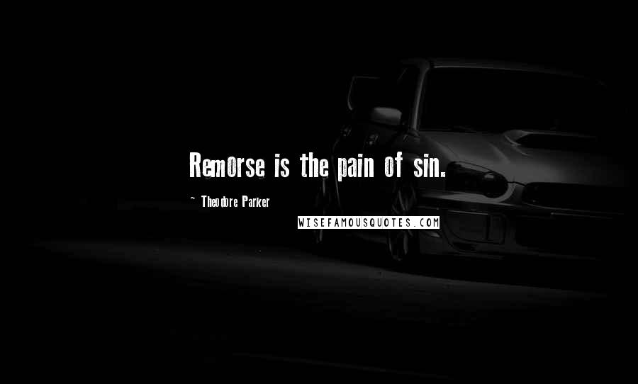 Theodore Parker Quotes: Remorse is the pain of sin.