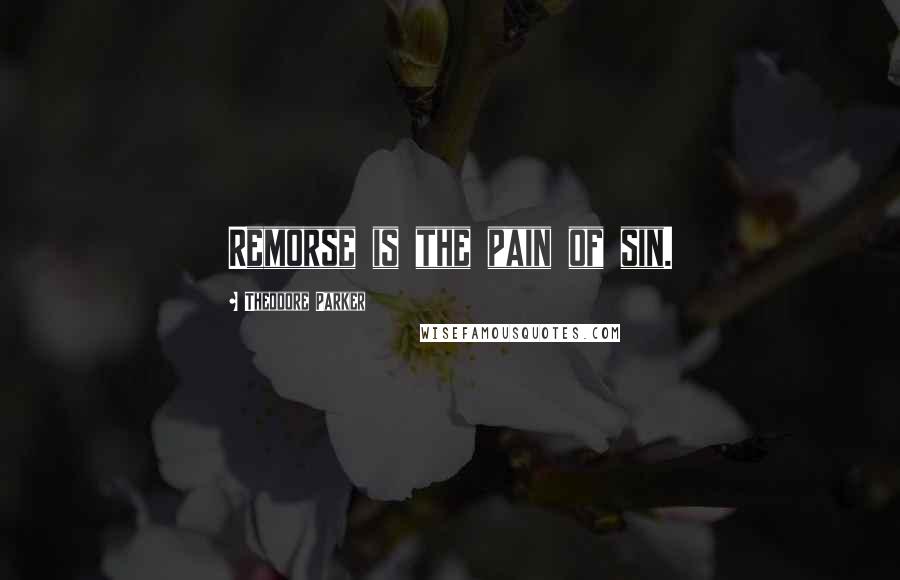 Theodore Parker Quotes: Remorse is the pain of sin.