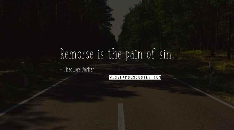 Theodore Parker Quotes: Remorse is the pain of sin.