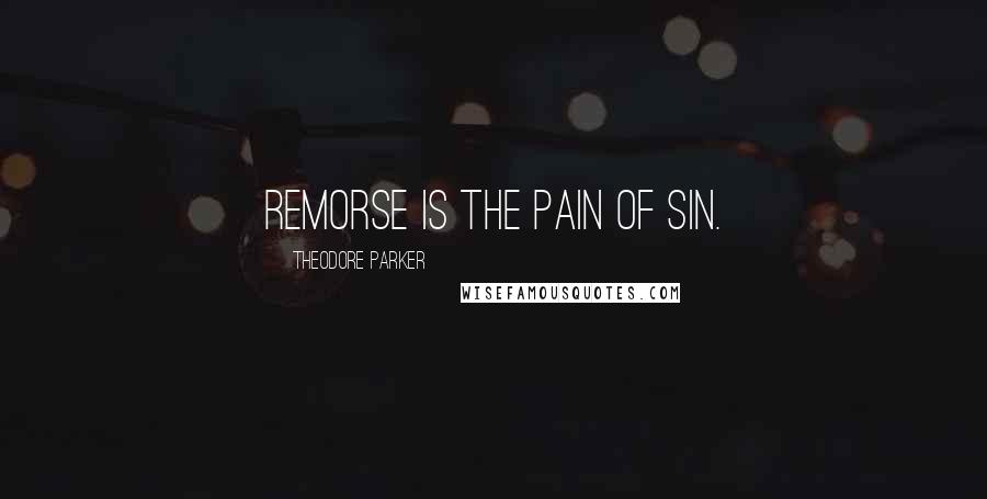 Theodore Parker Quotes: Remorse is the pain of sin.