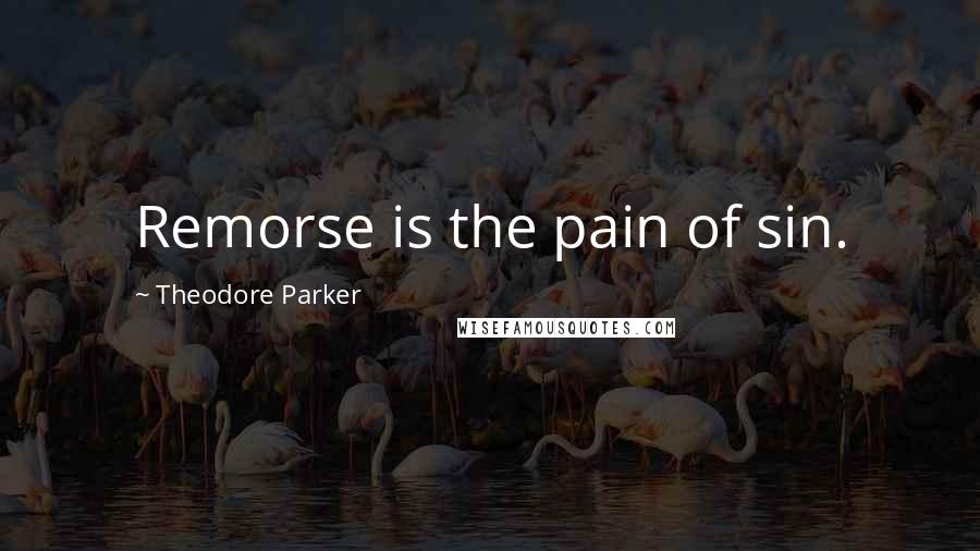 Theodore Parker Quotes: Remorse is the pain of sin.