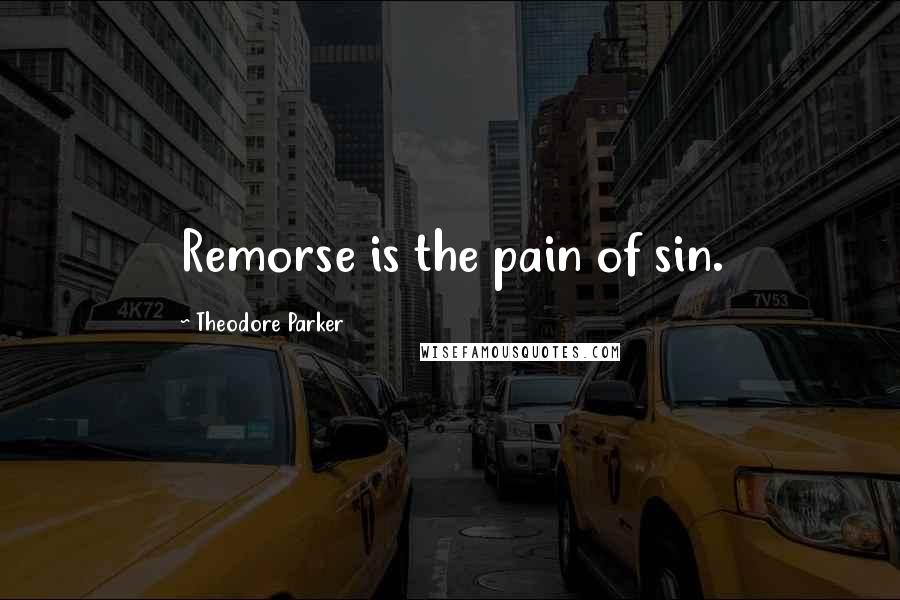 Theodore Parker Quotes: Remorse is the pain of sin.