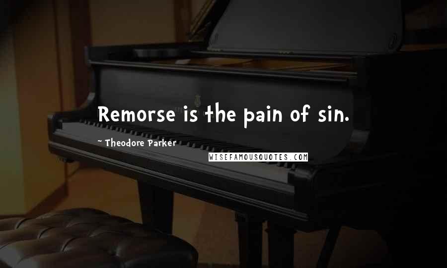 Theodore Parker Quotes: Remorse is the pain of sin.