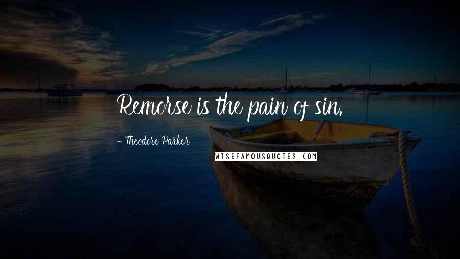 Theodore Parker Quotes: Remorse is the pain of sin.