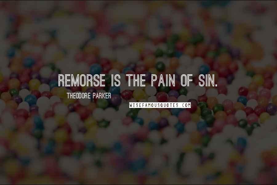 Theodore Parker Quotes: Remorse is the pain of sin.