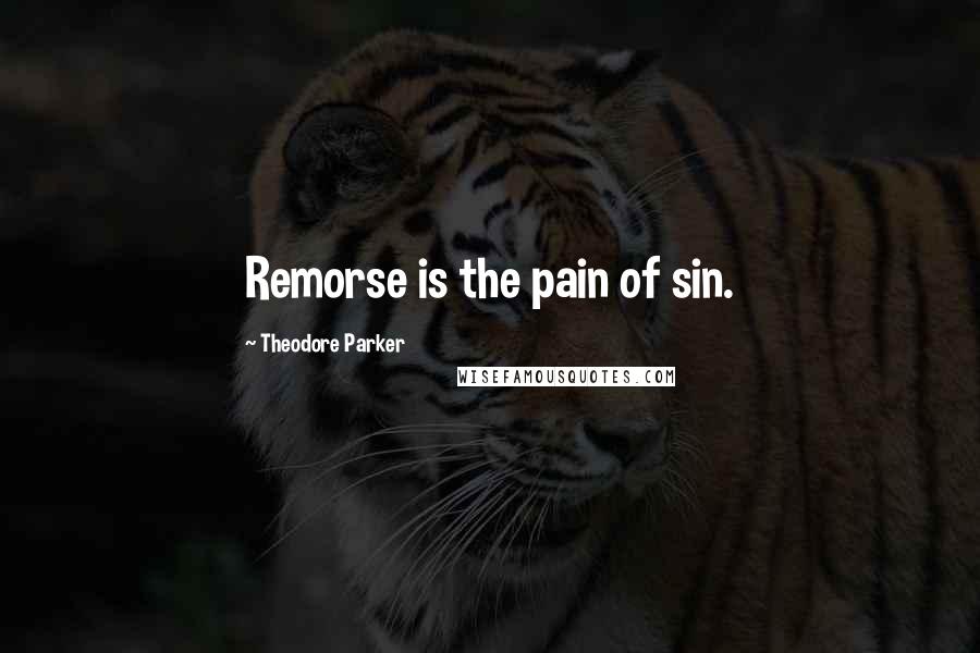 Theodore Parker Quotes: Remorse is the pain of sin.