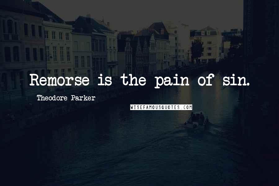 Theodore Parker Quotes: Remorse is the pain of sin.