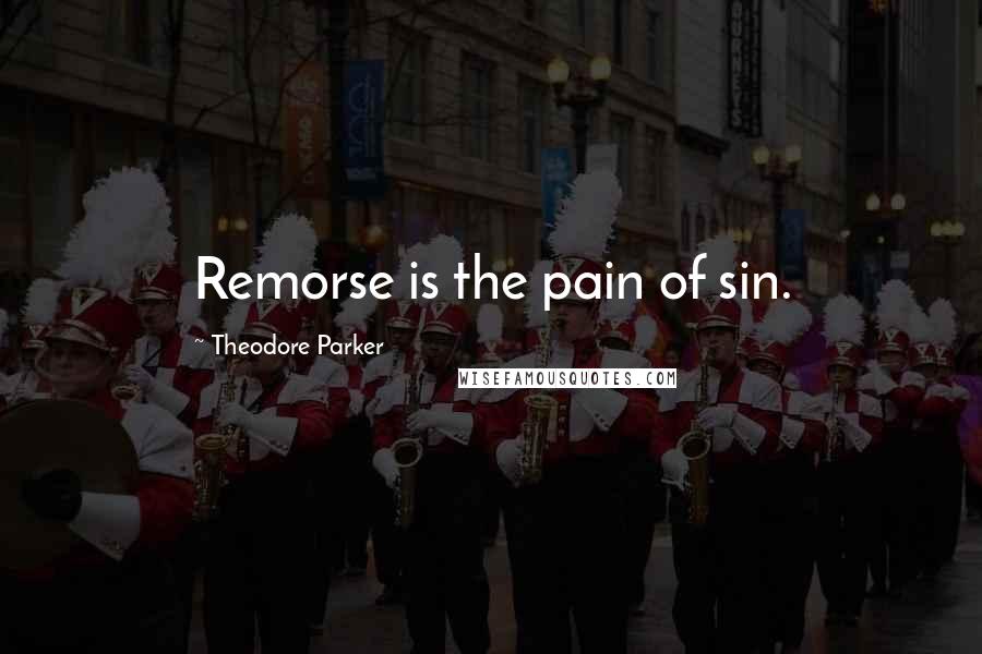 Theodore Parker Quotes: Remorse is the pain of sin.