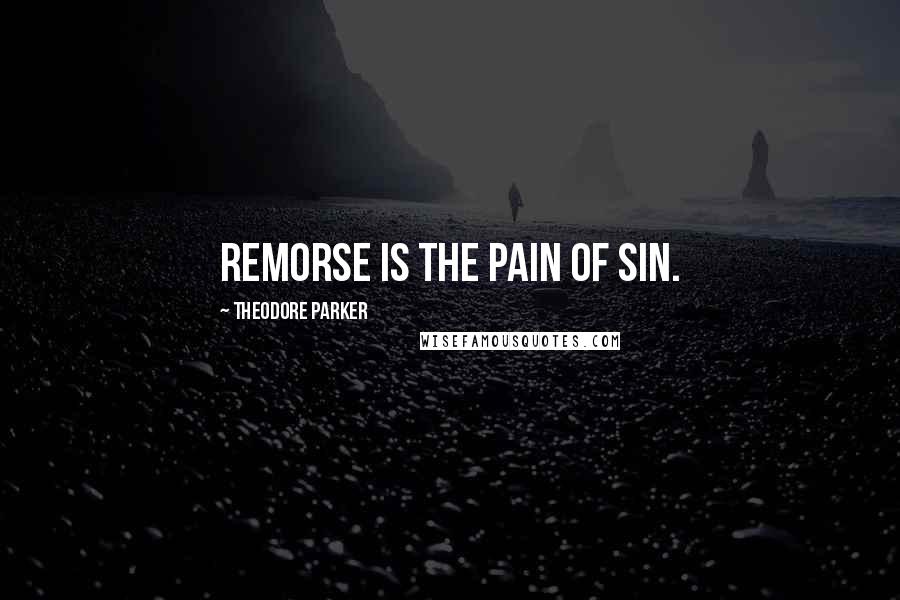 Theodore Parker Quotes: Remorse is the pain of sin.