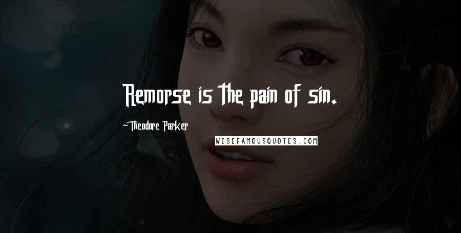 Theodore Parker Quotes: Remorse is the pain of sin.