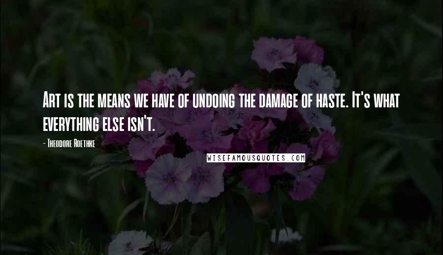 Theodore Roethke Quotes: Art is the means we have of undoing the damage of haste. It's what everything else isn't.