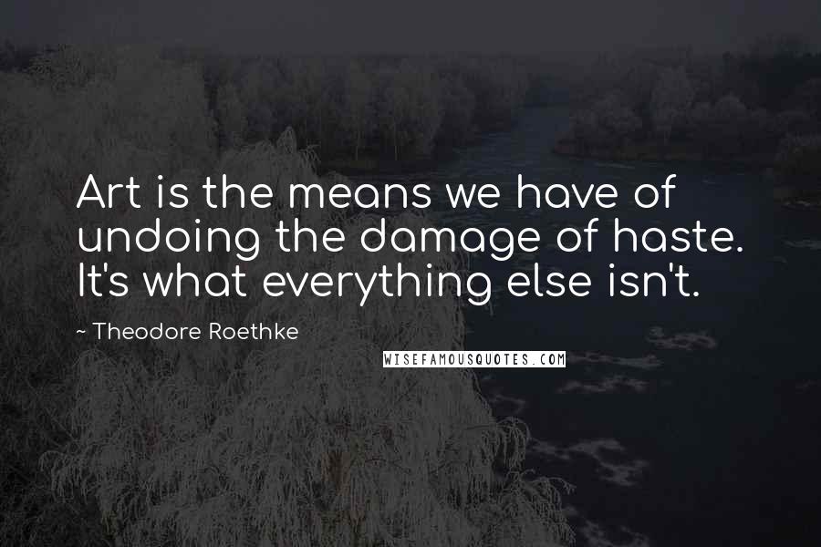 Theodore Roethke Quotes: Art is the means we have of undoing the damage of haste. It's what everything else isn't.