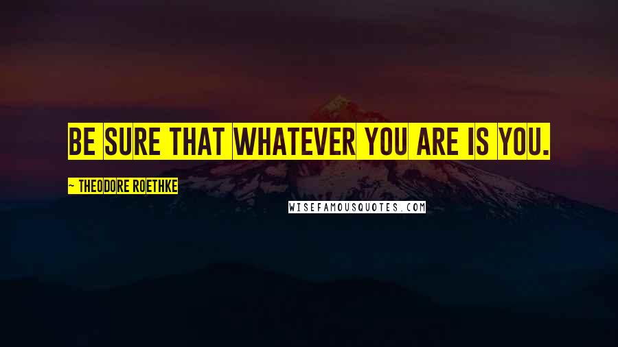 Theodore Roethke Quotes: Be sure that whatever you are is you.