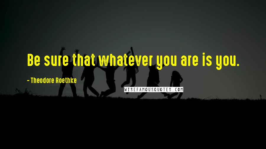 Theodore Roethke Quotes: Be sure that whatever you are is you.