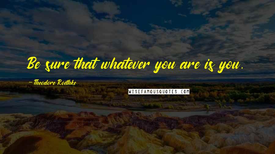 Theodore Roethke Quotes: Be sure that whatever you are is you.