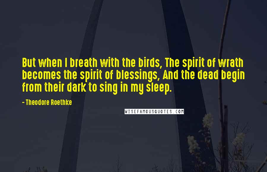 Theodore Roethke Quotes: But when I breath with the birds, The spirit of wrath becomes the spirit of blessings, And the dead begin from their dark to sing in my sleep.