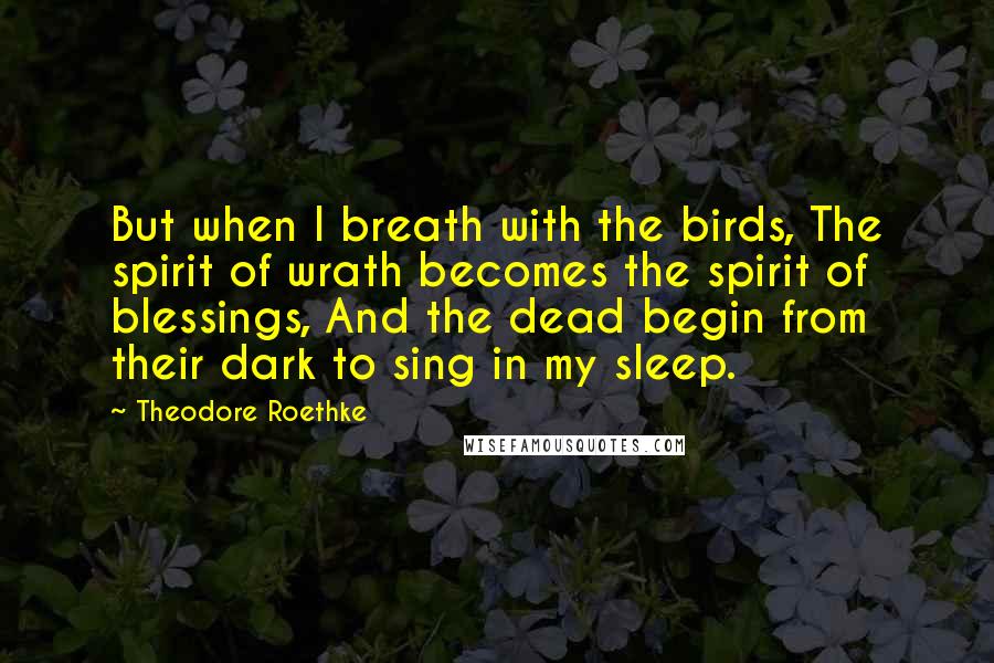 Theodore Roethke Quotes: But when I breath with the birds, The spirit of wrath becomes the spirit of blessings, And the dead begin from their dark to sing in my sleep.