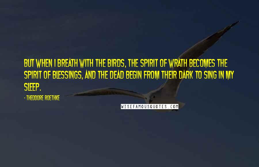 Theodore Roethke Quotes: But when I breath with the birds, The spirit of wrath becomes the spirit of blessings, And the dead begin from their dark to sing in my sleep.