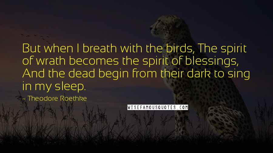 Theodore Roethke Quotes: But when I breath with the birds, The spirit of wrath becomes the spirit of blessings, And the dead begin from their dark to sing in my sleep.