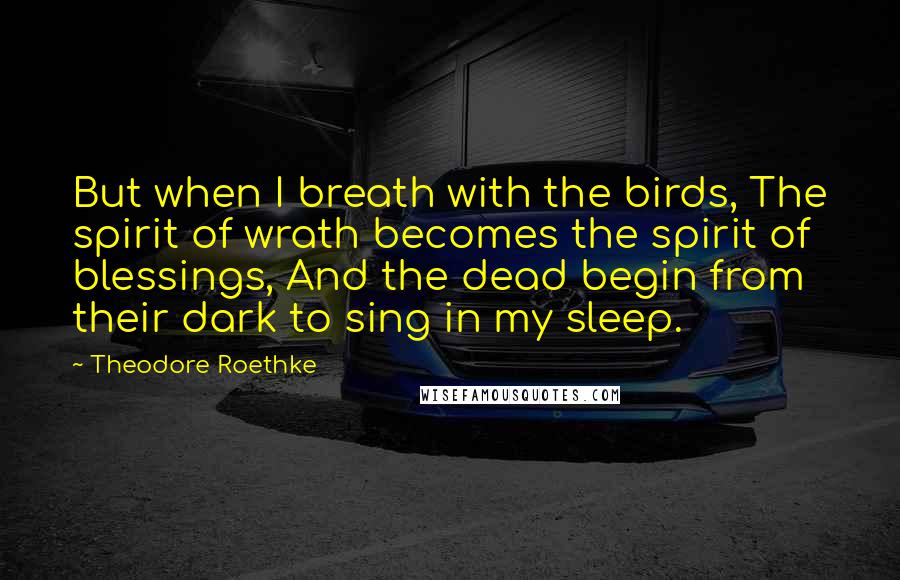 Theodore Roethke Quotes: But when I breath with the birds, The spirit of wrath becomes the spirit of blessings, And the dead begin from their dark to sing in my sleep.