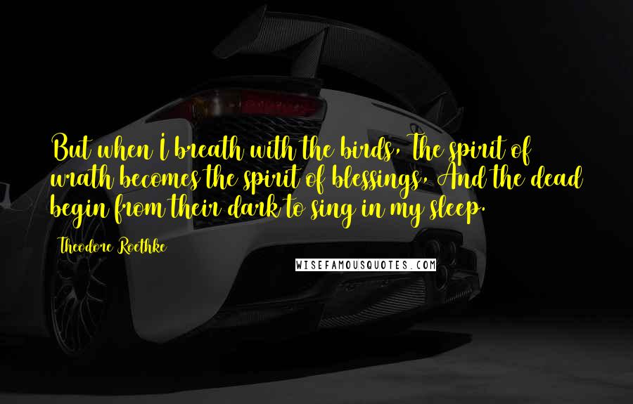 Theodore Roethke Quotes: But when I breath with the birds, The spirit of wrath becomes the spirit of blessings, And the dead begin from their dark to sing in my sleep.