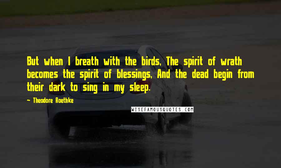 Theodore Roethke Quotes: But when I breath with the birds, The spirit of wrath becomes the spirit of blessings, And the dead begin from their dark to sing in my sleep.