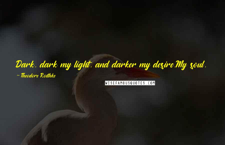 Theodore Roethke Quotes: Dark, dark my light, and darker my desire.My soul, like some heat-maddened summer fly,Keeps buzzing at the sill. Which I is I?