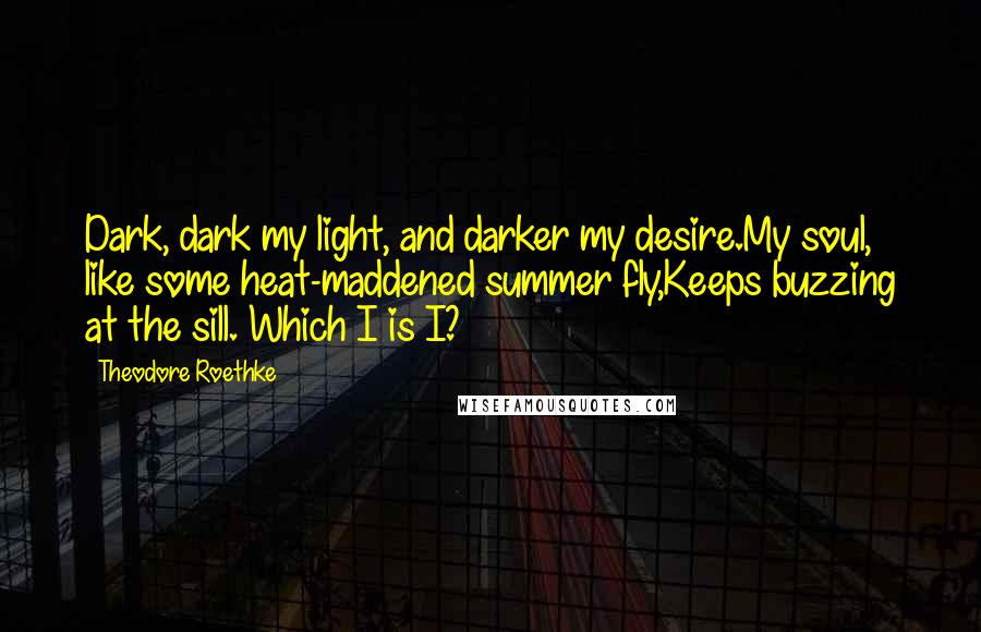 Theodore Roethke Quotes: Dark, dark my light, and darker my desire.My soul, like some heat-maddened summer fly,Keeps buzzing at the sill. Which I is I?