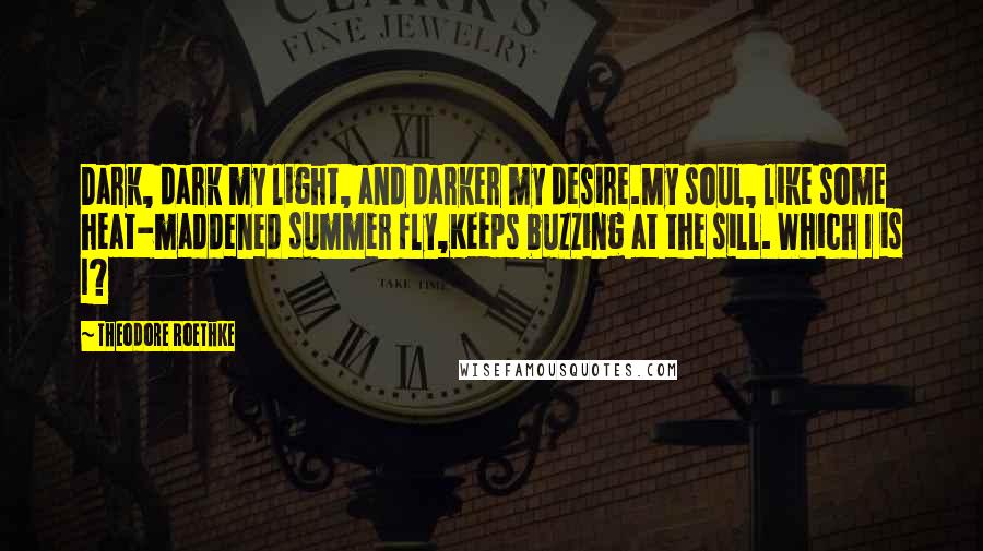 Theodore Roethke Quotes: Dark, dark my light, and darker my desire.My soul, like some heat-maddened summer fly,Keeps buzzing at the sill. Which I is I?