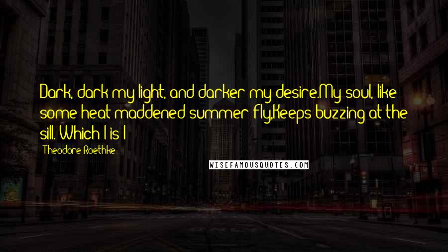 Theodore Roethke Quotes: Dark, dark my light, and darker my desire.My soul, like some heat-maddened summer fly,Keeps buzzing at the sill. Which I is I?