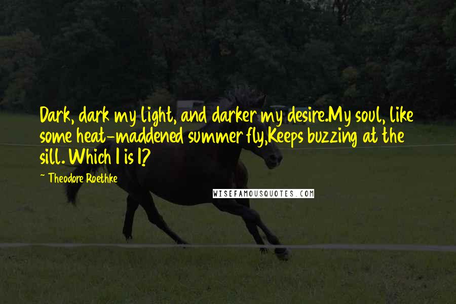 Theodore Roethke Quotes: Dark, dark my light, and darker my desire.My soul, like some heat-maddened summer fly,Keeps buzzing at the sill. Which I is I?