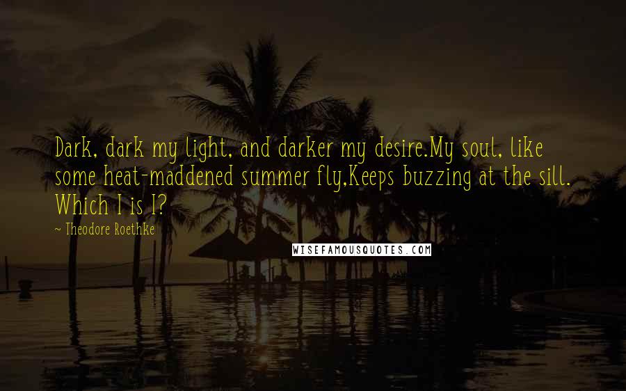 Theodore Roethke Quotes: Dark, dark my light, and darker my desire.My soul, like some heat-maddened summer fly,Keeps buzzing at the sill. Which I is I?