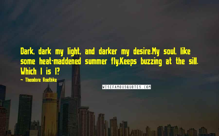 Theodore Roethke Quotes: Dark, dark my light, and darker my desire.My soul, like some heat-maddened summer fly,Keeps buzzing at the sill. Which I is I?