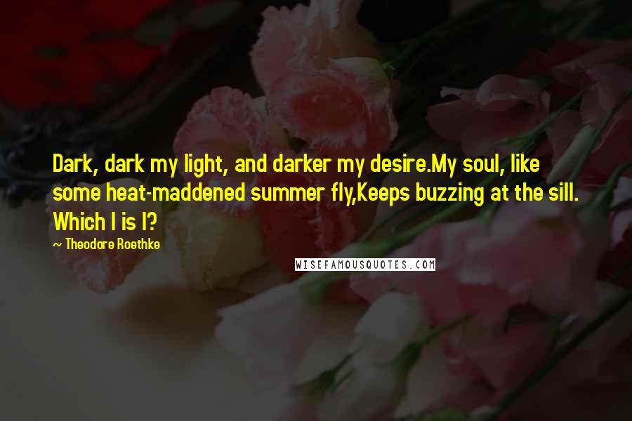 Theodore Roethke Quotes: Dark, dark my light, and darker my desire.My soul, like some heat-maddened summer fly,Keeps buzzing at the sill. Which I is I?