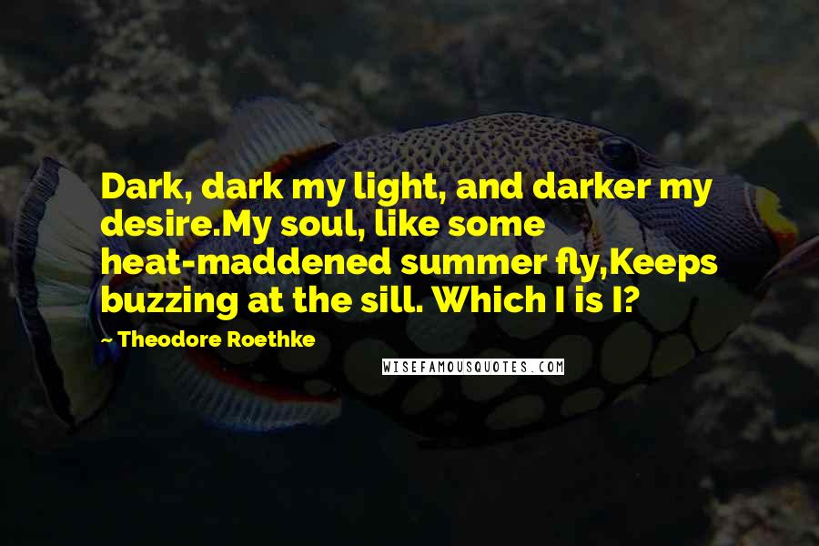 Theodore Roethke Quotes: Dark, dark my light, and darker my desire.My soul, like some heat-maddened summer fly,Keeps buzzing at the sill. Which I is I?