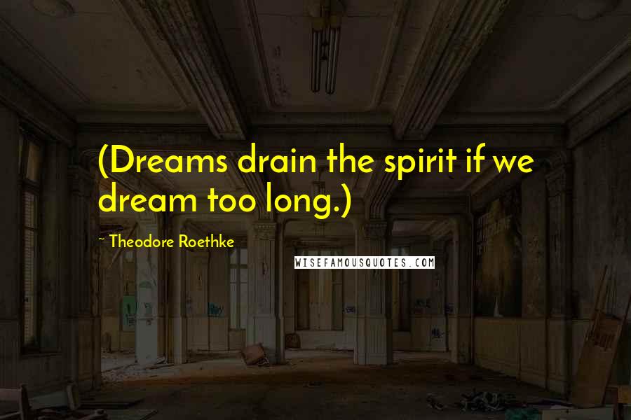 Theodore Roethke Quotes: (Dreams drain the spirit if we dream too long.)