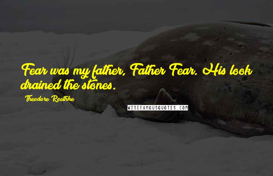 Theodore Roethke Quotes: Fear was my father, Father Fear. His look drained the stones.