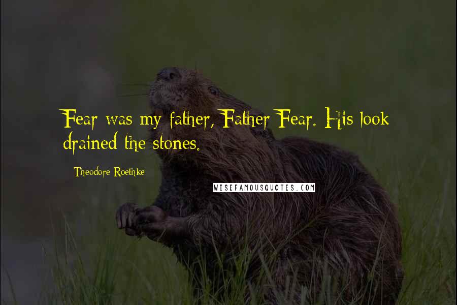 Theodore Roethke Quotes: Fear was my father, Father Fear. His look drained the stones.